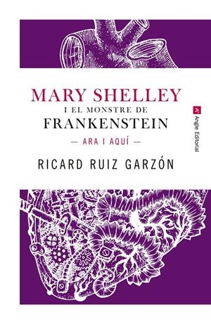 Mary Shelley i el monstre de Frankenstein | 9788417214227 | Ricard Ruiz Garzón | Llibreria online de Figueres i Empordà