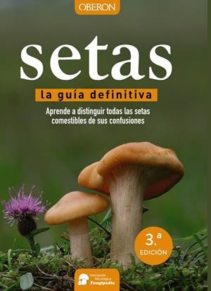 Setas | 9788441537842 | Calvo Pérez, Aitor/Calvo Pérez, Javier/Román Echevarría, Juan Andrés/Ibarretxe Iragorri, Ricardo | Llibreria online de Figueres i Empordà