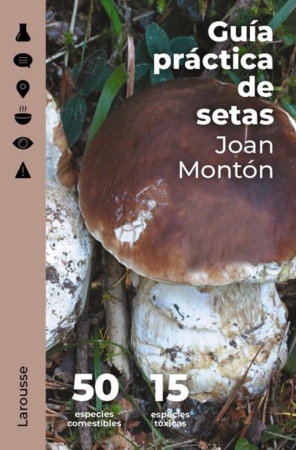 Guía práctica de setas | 9788418473845 | Montón Martínez, Joan | Librería online de Figueres / Empordà