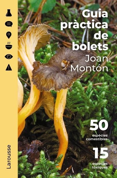 Guia pràctica de bolets | 9788418473852 | Montón Martínez, Joan | Librería online de Figueres / Empordà