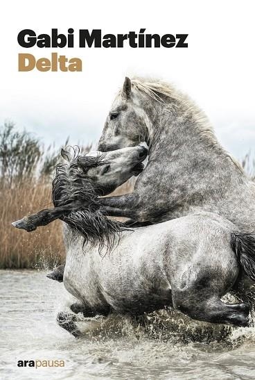 Delta | 9788411730068 | Martínez Cendrero, Gabriel | Librería online de Figueres / Empordà