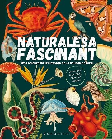 Naturalesa fascinant | 9788419095596 | Mosquito Books | Librería online de Figueres / Empordà