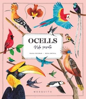 Ocells. Vida Secreta | 9788419095534 | Esteban, Diana | Llibreria online de Figueres i Empordà