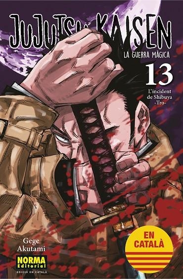 JUJUTSU KAISEN (català) #13 | 9788467957679 | Akutami, Gege | Librería online de Figueres / Empordà