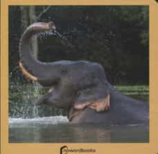 Los Animales Salvajes | 9788494295614 | Llibreria online de Figueres i Empordà