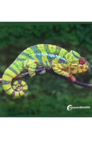 Animals de la selva | 9788412683615 | Llibreria online de Figueres i Empordà