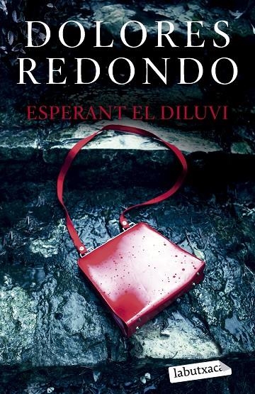 Esperant el diluvi | 9788419107961 | Redondo, Dolores | Llibreria online de Figueres i Empordà