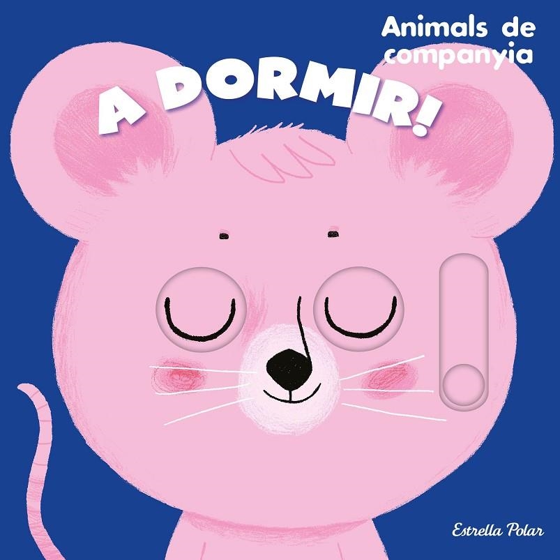 A dormir! Animals de companyia | 9788413895390 | Roederer, Charlotte | Llibreria online de Figueres i Empordà