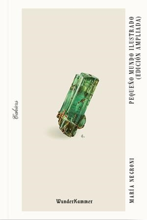 Pequeño mundo ilustrado | 9788412743104 | Negroni, María | Librería online de Figueres / Empordà