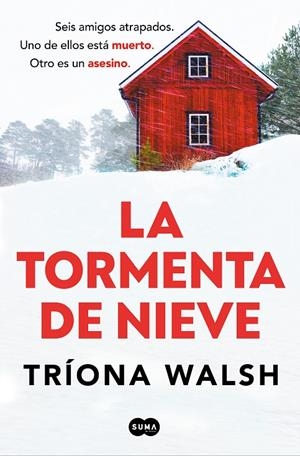 Tormenta de nieve | 9788491299028 | Walsh, Tríona | Librería online de Figueres / Empordà