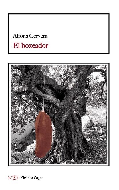 El boxeador | 9788419778888 | Cervera, Alfons | Llibreria online de Figueres i Empordà