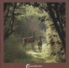 Los Animales del Bosque | 9788494174599 | Nowordbooks | Llibreria online de Figueres i Empordà