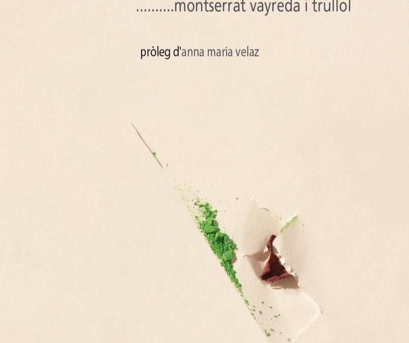 UN COLOR PER CADA AMIC | 9788481280647 | Vayreda Trullolls, Montserrat | Llibreria online de Figueres i Empordà