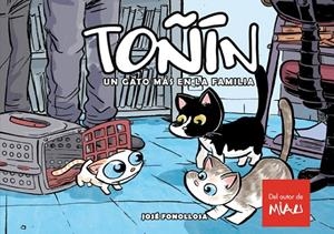 TOÑIN. UN GATO MAS EN LA FAMILIA | 9788415839033 | Fonollosa, José | Llibreria online de Figueres i Empordà