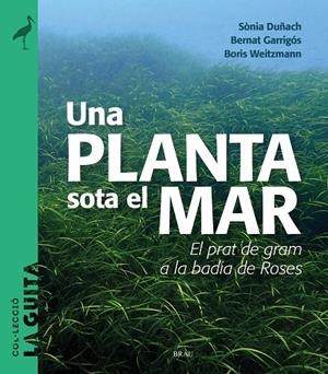 Una planta sota el mar | 9788418096747 | Duñach, Sònia/Garrigós, Bernat/Weitzmann, Boris | Llibreria online de Figueres i Empordà