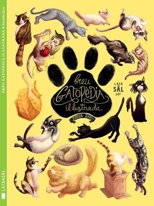 Breu Gatopèdia Il·lustrada | 9788494469886 | Zaro Soto, Zoraida | Llibreria online de Figueres i Empordà