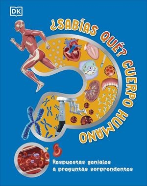 ¿Sabías qué? Cuerpo humano | 9780241702697 | DK | Librería online de Figueres / Empordà