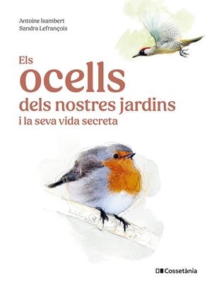 Els ocells dels nostres jardins i la seva vida secreta | 9788413563626 | Isambert, Antoine | Librería online de Figueres / Empordà