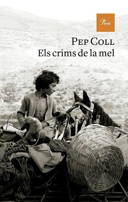 Els crims de la mel | 9788419657930 | Coll, Pep | Librería online de Figueres / Empordà
