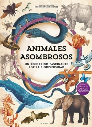 Animales asombrosos | 9788410269101 | Museo Nacional de Ciencias Naturales | Llibreria online de Figueres i Empordà