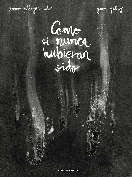 Como si nunca hubieran sido | 9788417511036 | Gallego, Javier/Gallego, Juan | Llibreria online de Figueres i Empordà