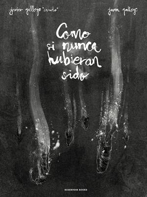 Como si nunca hubieran sido | 9788417511036 | Gallego, Javier/Gallego, Juan | Llibreria online de Figueres i Empordà