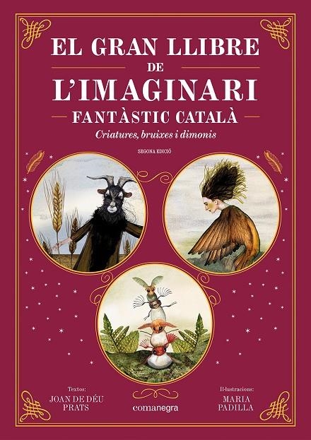 El gran llibre de l'imaginari fantàstic català | 9788410161344 | Prats, Joan de Déu/Padilla, Maria | Librería online de Figueres / Empordà