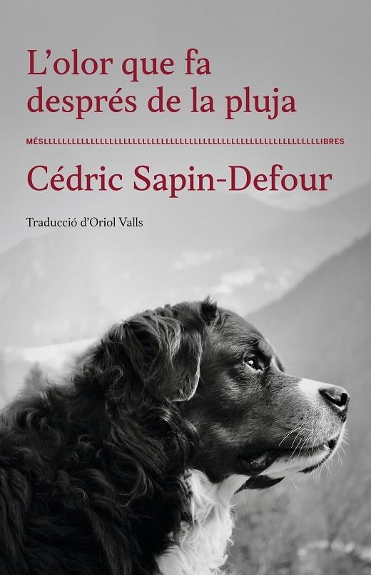 L'olor que fa després de la pluja | 9788417353568 | Cédric Sapin-Defour | Llibreria online de Figueres i Empordà