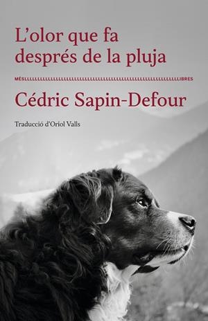 L'olor que fa després de la pluja | 9788417353568 | Cédric Sapin-Defour | Librería online de Figueres / Empordà