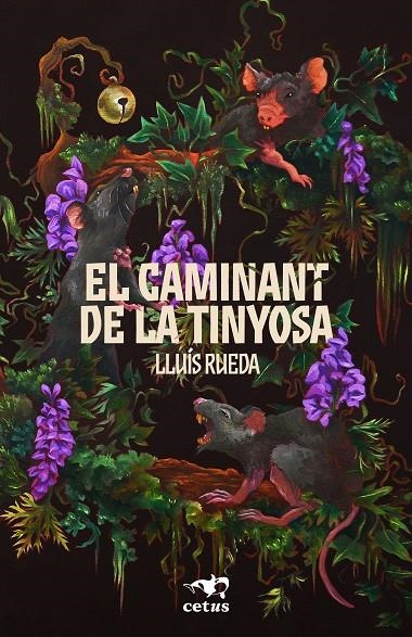 El Caminant de la Tinyosa | 9788412927313 | Rueda, Lluís | Llibreria online de Figueres i Empordà