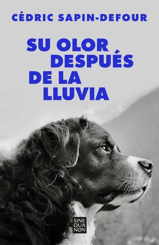Su olor después de la lluvia | 9788466678766 | Sapin-Defour, Cédric | Llibreria online de Figueres i Empordà