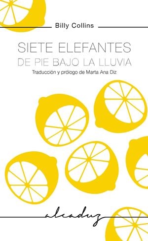 Siete elefantes de pie bajo la lluvia | 9788494943225 | Collins, Billy | Llibreria online de Figueres i Empordà