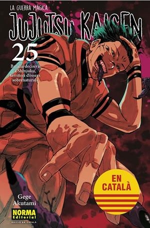 JUJUTSU KAISEN #25 CATALA | 9788467969979 | AKUTAMI, GEGE | Llibreria online de Figueres i Empordà