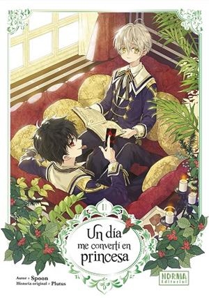 UN DIA ME CONVERTI EN PRINCESA #02 | 9788467970371 | SPOON Y PLUTUS | Llibreria online de Figueres i Empordà