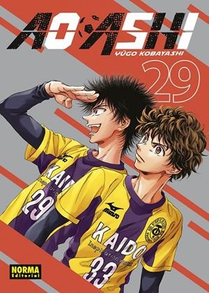 AO ASHI #29 | 9788467973044 | Kobayashi, Yugo | Llibreria online de Figueres i Empordà