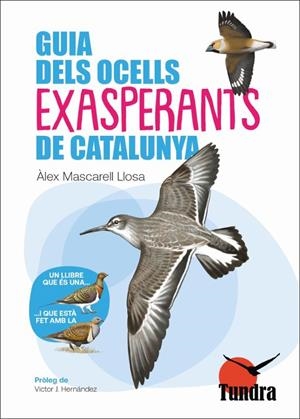 GUIA DELS OCELLS EXASPERANTS DE CATALUNYA | 9788419624802 | Mascarell, Àlex | Librería online de Figueres / Empordà