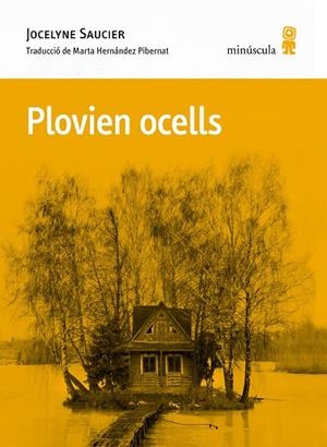 Plovien ocells | 9788412662092 | Saucier, Jocelyne | Llibreria online de Figueres i Empordà