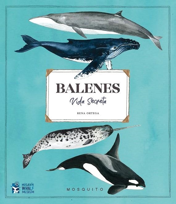 Balenes. Vida secreta | 9788412247954 | Llibreria online de Figueres i Empordà