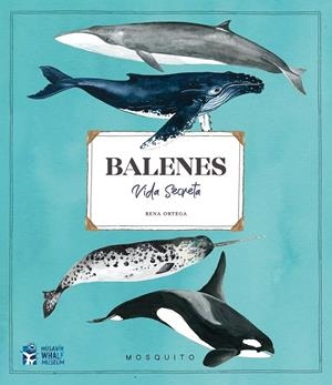 Balenes. Vida secreta | 9788412247954 | Llibreria online de Figueres i Empordà