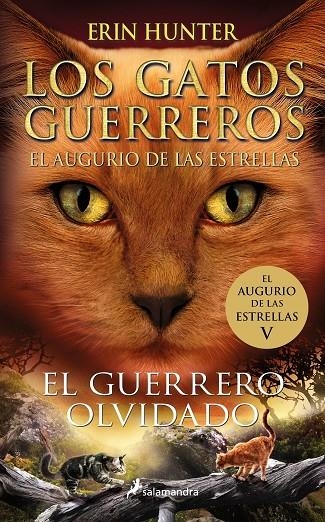 Los Gatos Guerreros. El augurio de las estrellas #05. El guerrero olvidado | 9788419275318 | Hunter, Erin | Llibreria online de Figueres i Empordà