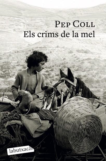 Els crims de la mel | 9791387802196 | Coll, Pep | Llibreria online de Figueres i Empordà