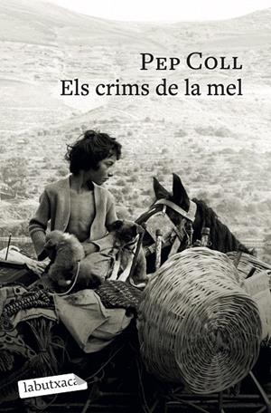 Els crims de la mel | 9791387802196 | Coll, Pep | Llibreria online de Figueres i Empordà
