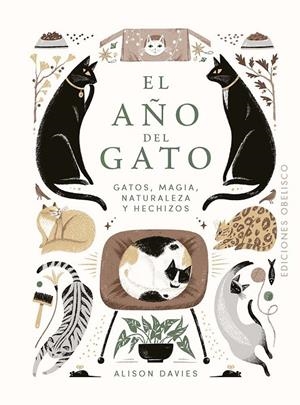 El año del gato | 9788411723091 | Davies, Alison | Llibreria online de Figueres i Empordà