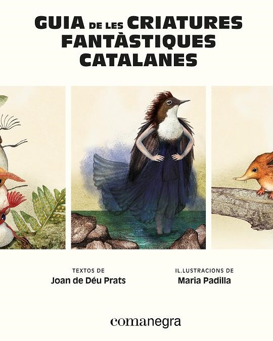 Guia de les criatures fantàstiques catalanes | 9788410161900 | Prats, Joan de Déu/Padilla, Maria | Llibreria online de Figueres i Empordà