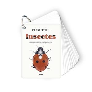 Fixa-t'hi: insectes | 9788410407213 | Sanjuan Llorens, Anna/Nogués Otero, Alex | Llibreria online de Figueres i Empordà