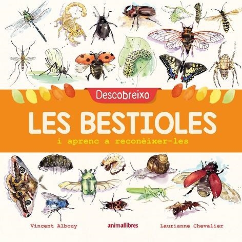 Descobreixo les bestioles i aprenc a reconèixer-les | 9788417599201 | Albouy, Vincent | Llibreria online de Figueres i Empordà