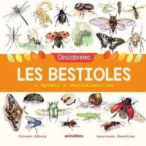Descobreixo les bestioles i aprenc a reconèixer-les | 9788417599201 | Albouy, Vincent | Llibreria online de Figueres i Empordà