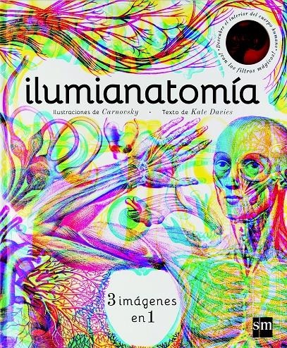 ILUMIANATOMIA (ESP) | 9788467594201 | Davies, Kate | Llibreria online de Figueres i Empordà