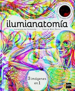ILUMIANATOMIA (ESP) | 9788467594201 | Davies, Kate | Llibreria online de Figueres i Empordà