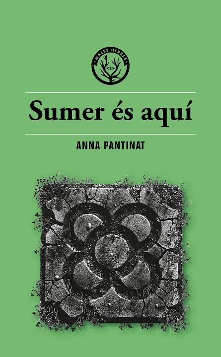 Sumer és aquí | 9791399014686 | Anna Pantinat | Llibreria online de Figueres i Empordà